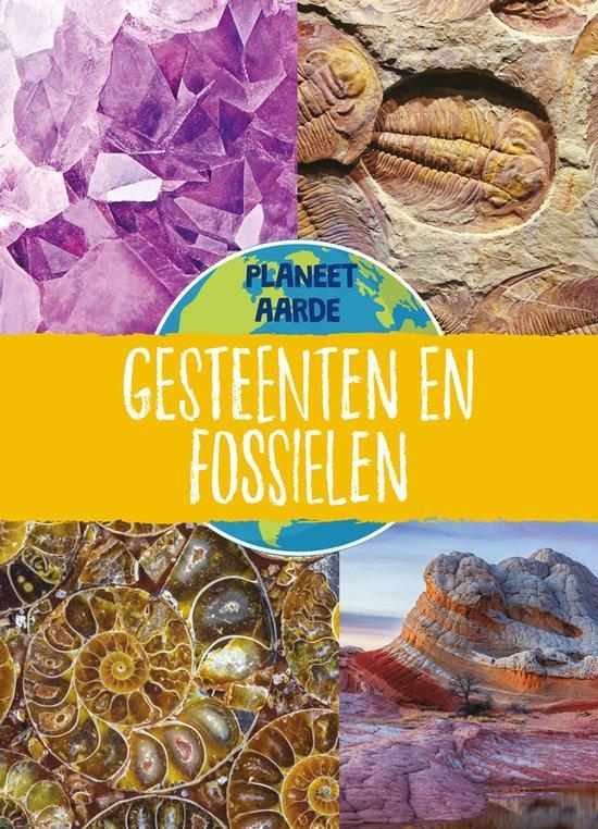 9789086649815 Planeet Aarde - Gesteenten en fossielen, Boeken, Schoolboeken, Nieuw, Verzenden