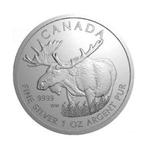 Canadian Wildlife - Moose, Zilver, Losse munt, Verzenden, Noord-Amerika