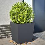 vidaXL Plantenbakken 2 st 50x50x50 cm staal antracietkleurig, Verzenden, Nieuw, Metaal