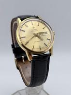 Zodiac - Goldenline - Zonder minimumprijs - 763 688 - Heren, Nieuw