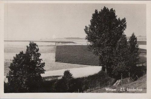 WITTEM Z. L. - Landschap, Verzamelen, Ansichtkaarten | Nederland, Verzenden