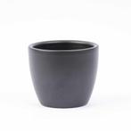 Mini planten set 6 - Inclusief 6x pot Boule Antraciet, Verzenden