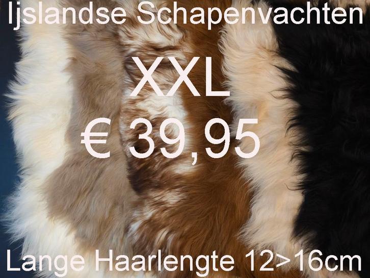 Schapenvacht Ijslandse XXL Vachten GROOT assortiment € 39,95, Huis en Inrichting, Woonaccessoires | Overige, Nieuw, Ophalen of Verzenden