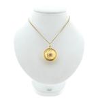 Gouden wereldbol hanger (Hanger of bedel), Ophalen of Verzenden, Gebruikt, Goud, Overige merken