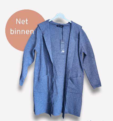 Warme vest in GRIJS kleur met capuchon en zijzakken voor, Kleding | Dames, Truien en Vesten