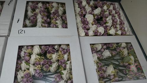 Corsage Roos Creme-Lila CPR121 Maatwerk corsage, Hobby en Vrije tijd, Knutselen, Nieuw, Ophalen of Verzenden