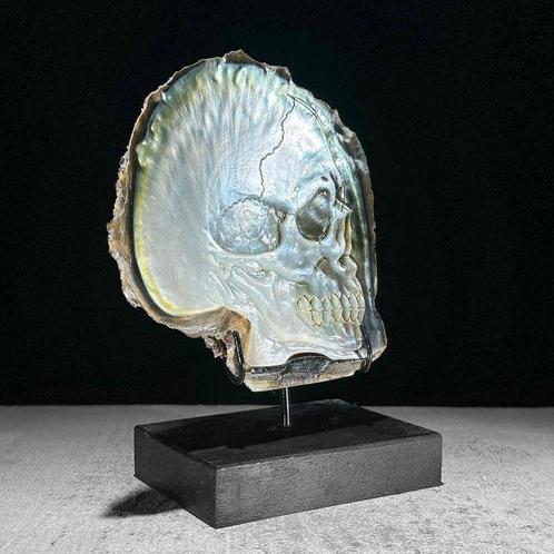 Snijwerk, Intricately carved Mother of Pearl Shell - Human, Verzamelen, Dierenverzamelingen