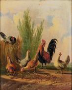 Albertus Verhoesen (1806-1881) - Chickens and hens, Antiek en Kunst