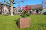 Plantenbak Fiberclay 70x40x60 cm Dark Wood, Nieuw, Verzenden