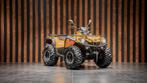 Can-Am Outlander 570 DPS | AUTO-KENTEKEN |, 2 cilinders, 12 t/m 35 kW