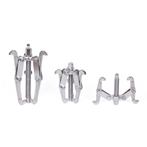 Hofftech Poulietrekker set - 3-delig - robuust chrome van..., Auto diversen, Ophalen of Verzenden, Nieuw