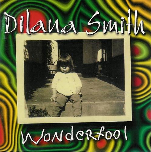 cd - Dilana Smith - Wonderfool, Cd's en Dvd's, Cd's | Rock, Zo goed als nieuw, Verzenden
