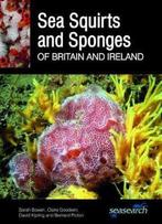 9780995567382 Sea Squirts and Sea Sponges of Britain and ..., Verzenden, Nieuw, Sarah Bowen