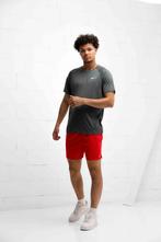 Nike Swim Zomerset Heren Grijs/Rood, Kleding | Heren, T-shirts, Nieuw, Maat 52/54 (L), Nike, Verzenden