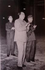 Mao’s China – Iconische propagandaportretten in zwart-wi, Verzamelen, Militaria | Tweede Wereldoorlog, Verzenden