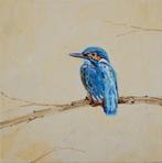 Matthieu van Riel - Kingfisher