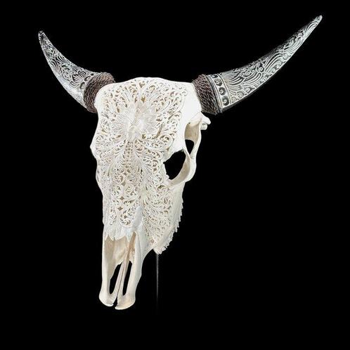 GEEN MINIMUM PRIJS - Witte gesneden koeienschedel met, Antiek en Kunst, Kunst | Designobjecten