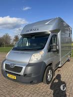 Prachtige Peugot paardenwagen! Hengstenuitvoering!, Ophalen, Zo goed als nieuw