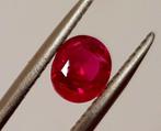 1 pcs Rood Robijn - 1.08 ct - Gemological Institute of, Nieuw