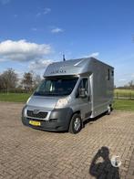 Prachtige Peugot paardenwagen! Hengstenuitvoering!, Ophalen, Zo goed als nieuw