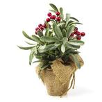 Kunstplant Kerstbes | Everlands | 23 cm, Diversen, Verzenden, Nieuw