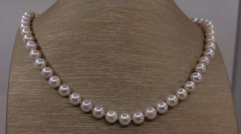 Halsketting 7x7,5 mm heldere Akoya-parels, Sieraden, Tassen en Uiterlijk, Kettingen