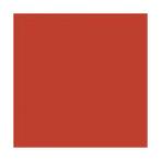 Koraal Rood glans 500 gram Poedercoat poeder, Nieuw, Verzenden
