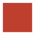 Koraal Rood glans 500 gram Poedercoat poeder (RESTAURATIE), Verzenden, Nieuw