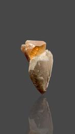 Topaas kristal met smokey quartz-voorbeeld goed beëindigd, Verzamelen, Mineralen en Fossielen