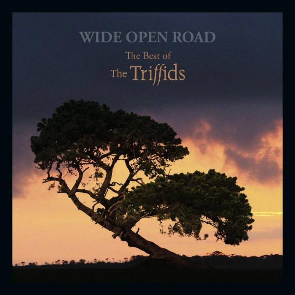 cd - The Triffids - Wide Open Road (The Best Of The Triff..., Cd's en Dvd's, Cd's | Rock, Nieuw in verpakking, Verzenden