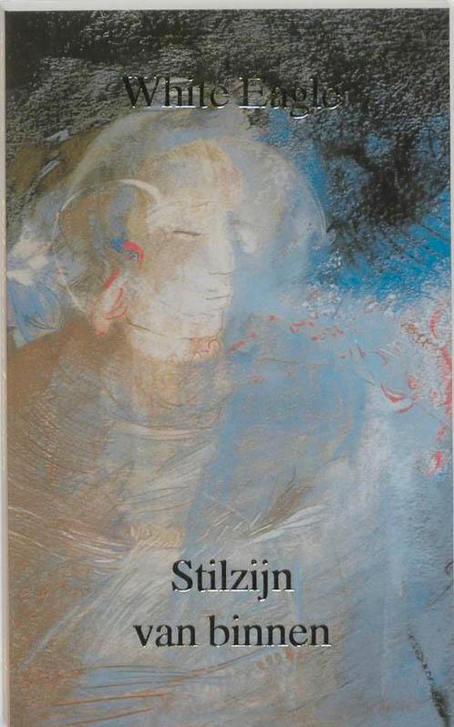 Stilzijn van binnen / De kosmische mens 9789020220483, Boeken, Esoterie en Spiritualiteit, Zo goed als nieuw, Verzenden