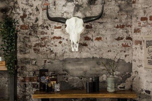 Imposante buffelschedel EL TORO 70cm natuurlijk massief, Huis en Inrichting, Woonaccessoires | Overige, Ophalen of Verzenden