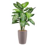 Dieffenbachia kunstplant, H140cm, Huis en Inrichting, Kamerplanten, Ophalen of Verzenden
