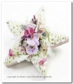 OASIS® Bioline Ster 50 × 50 × 5,5 cm oase voor verse bloemen, Ophalen of Verzenden, Nieuw