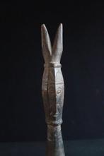 Sagoklammer, Wosera - Gebied - Papoea-Nieuw-Guinea (Zonder
