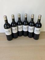 2022 Château Cantemerle - Bordeaux, Haut-Médoc Grand Cru, Verzamelen, Nieuw
