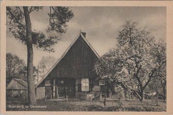 DENEKAMP - Boederij te Denekamp beschikbaar voor biedingen