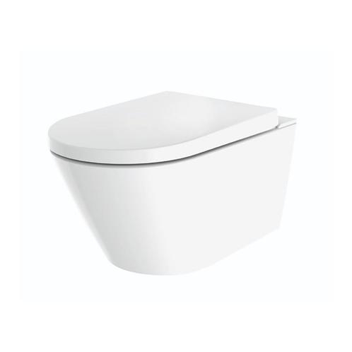 Douche WC BWS Wand Inclusief Afstandsbediening Wit, Doe-het-zelf en Verbouw, Sanitair, Douche, Nieuw, Ophalen of Verzenden
