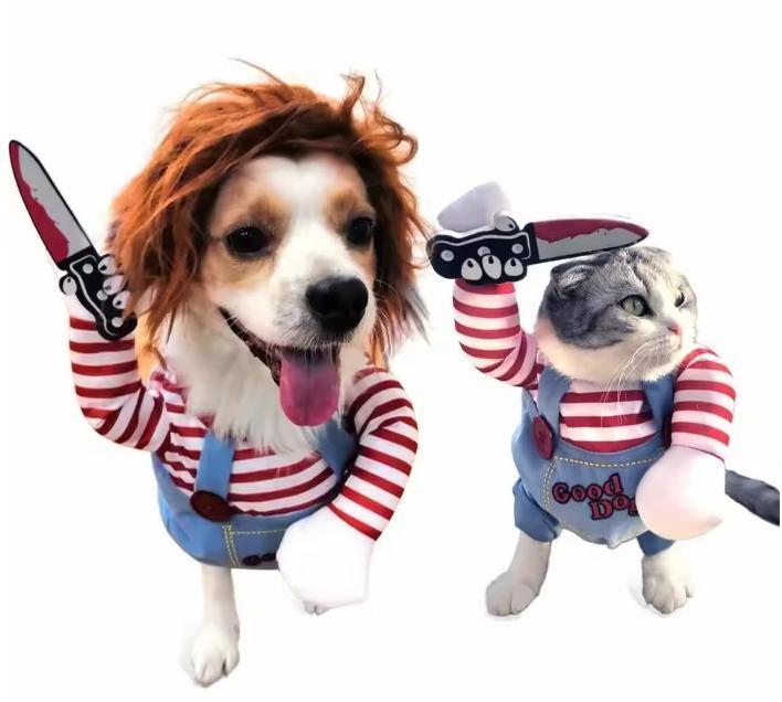 Grappig Huisdierkostuum – Cosplay Party Outfit met Hoed, Dieren en Toebehoren, Katten-accessoires, Nieuw, Verzenden