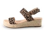 Dolcis Sandalen in maat 42 Overig | 10% extra korting, Kleding | Dames, Schoenen, Dolcis, Overige kleuren, Verzenden, Sandalen of Muiltjes