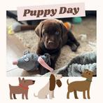 Top Chocolade Bruine Labrador Pups, Stamboom ERKEND KENNEL, Dieren en Toebehoren, Honden | Retrievers, Spaniëls en Waterhonden