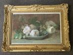 Christina/catharina Elisabeth Krummer ( 1853 - 1895 ) -
