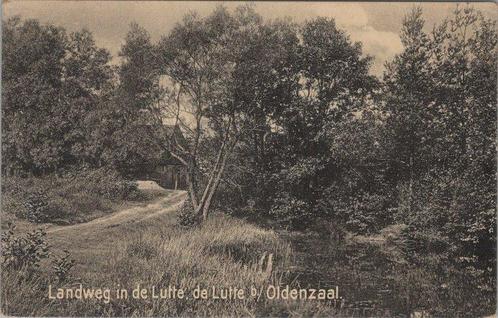 DE LUTTE - Landweg in de Lutte, de Lutte b/ Oldenzaal, Verzamelen, Ansichtkaarten | Nederland, Verzenden