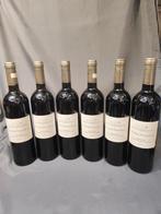 2004 Abadia Retuerta Cuvée Palomar - Sardon de Duero,, Nieuw