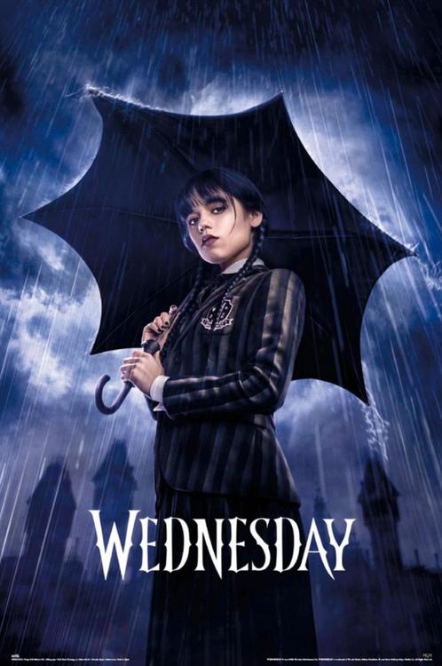Poster Wednesday Umbrella 61x91,5cm, Verzamelen, Posters, Nieuw, A1 t/m A3, Verzenden