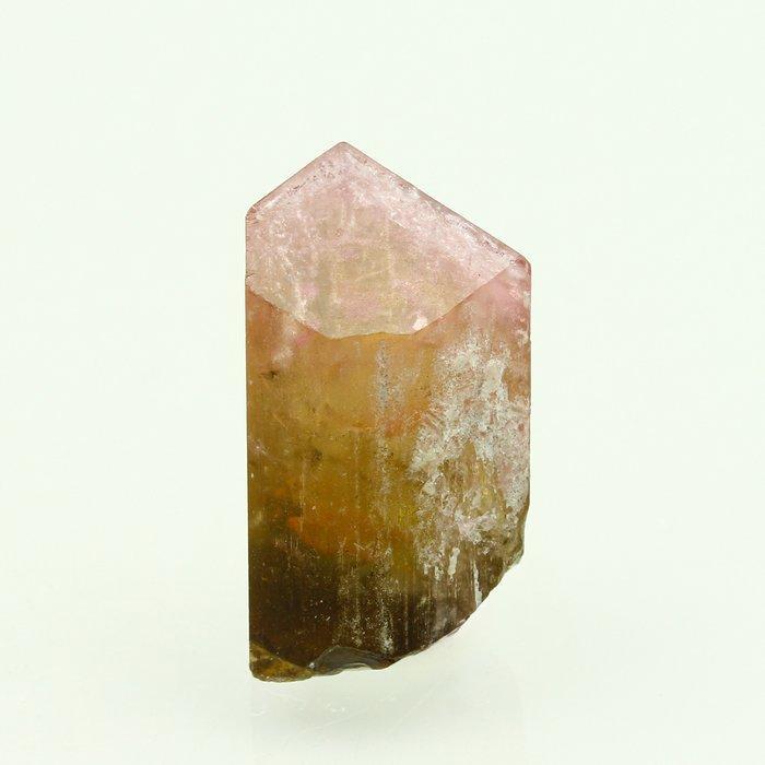 Kleurrubellite Toermalijn | Dieprood robijnrood | Krachtige, Verzamelen, Mineralen en Fossielen