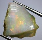 Cts. 32,0 Ethiopisch Opal Ruw- 6.4 g - (4)
