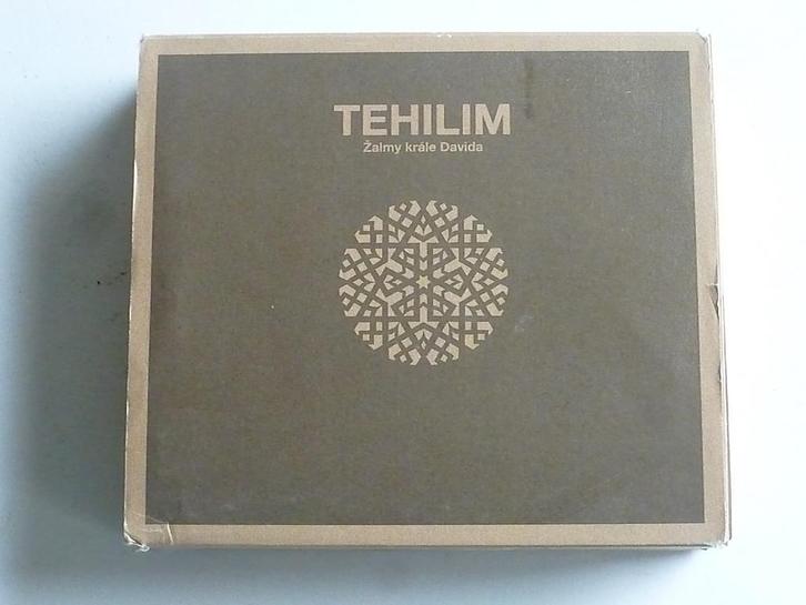 Tehilim - Zalmy krale Davida (boek + CD), Cd's en Dvd's, Cd's | Religie en Gospel, Zo goed als nieuw, Verzenden