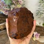 Obsidiaan mahonie ruw nr.06, Nieuw