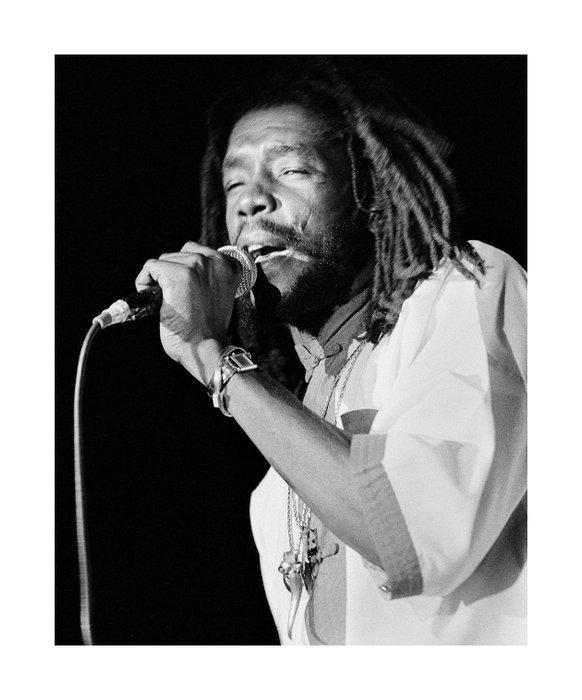 Massimo Forchino - Peter Tosh - Torino 1980, Antiek en Kunst, Kunst | Designobjecten